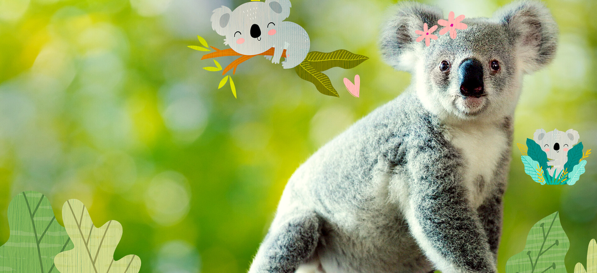 Watch Izzy's Koala World | Netflix Official Site